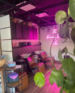 Want to Visit a Hair Salon in Texas? Check These First